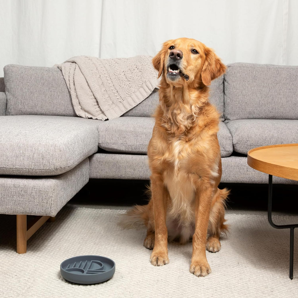 Silicone Slow Feeder Lick Mat – Calm Eating Bowl | J + C Pet Co.