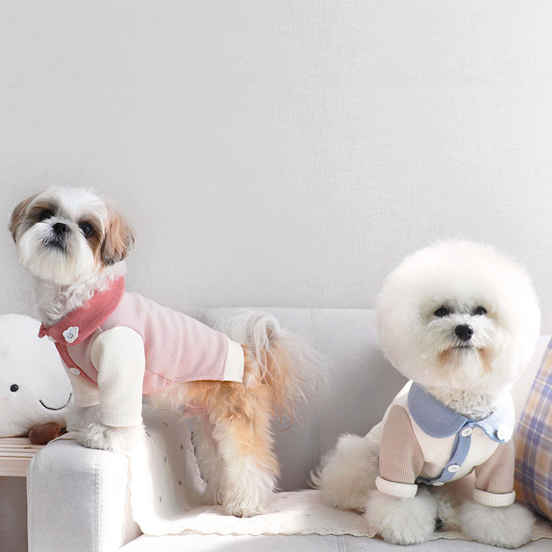 Ribbed Knit Puppy Sweater – Soft Button-Up Dog Outfit (Blue & Pink) | J + C Pet Co