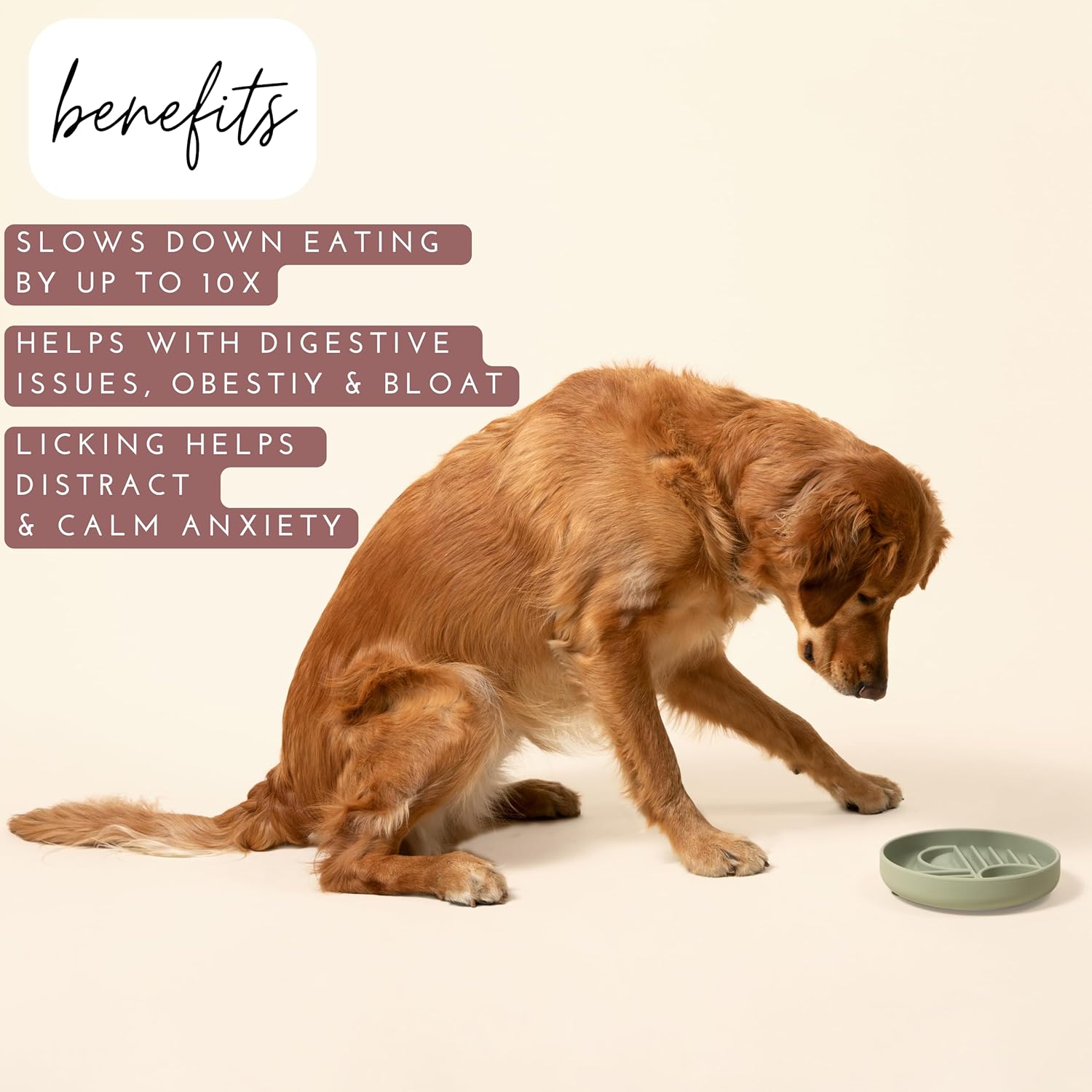 Silicone Slow Feeder Lick Mat – Calm Eating Bowl | J + C Pet Co.