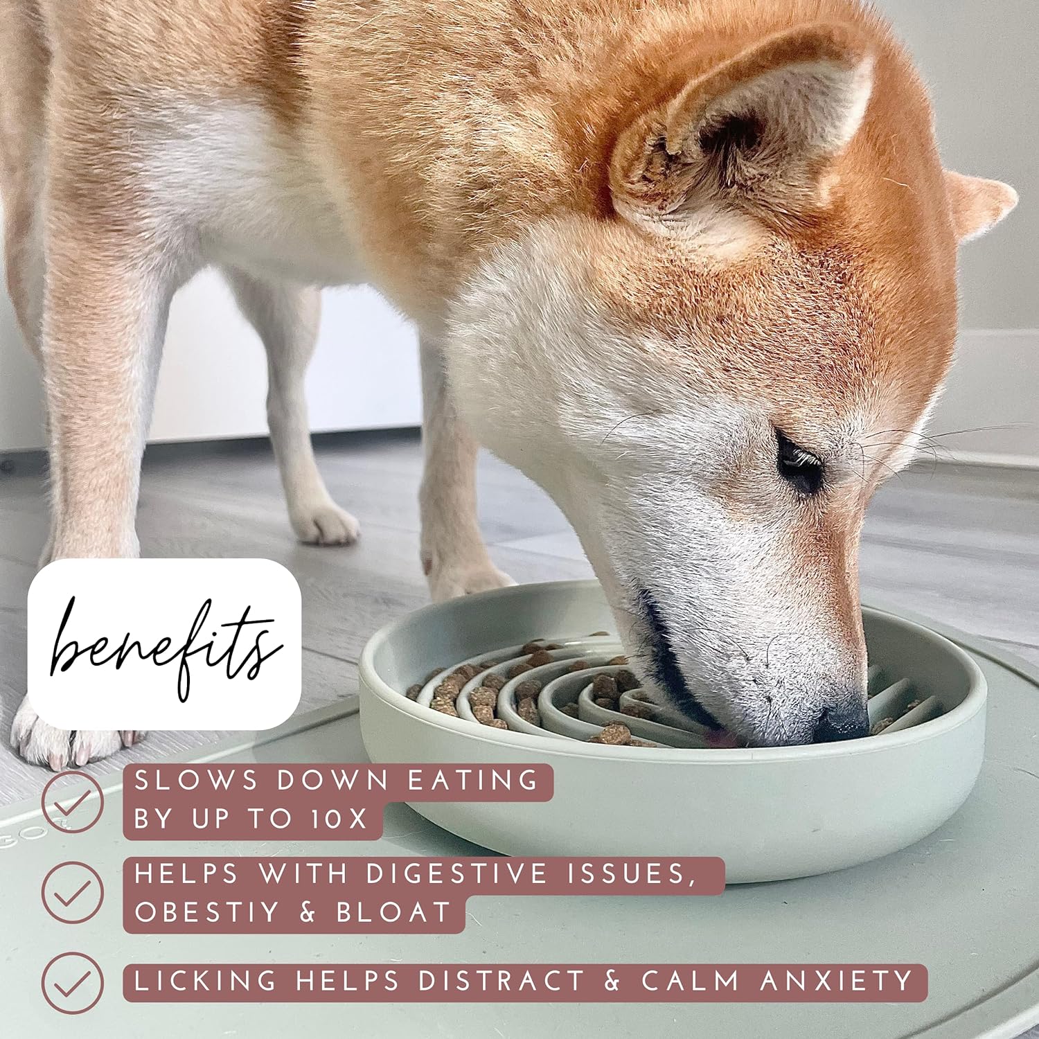 Silicone Slow Feeder Lick Mat – Calm Eating Bowl | J + C Pet Co.