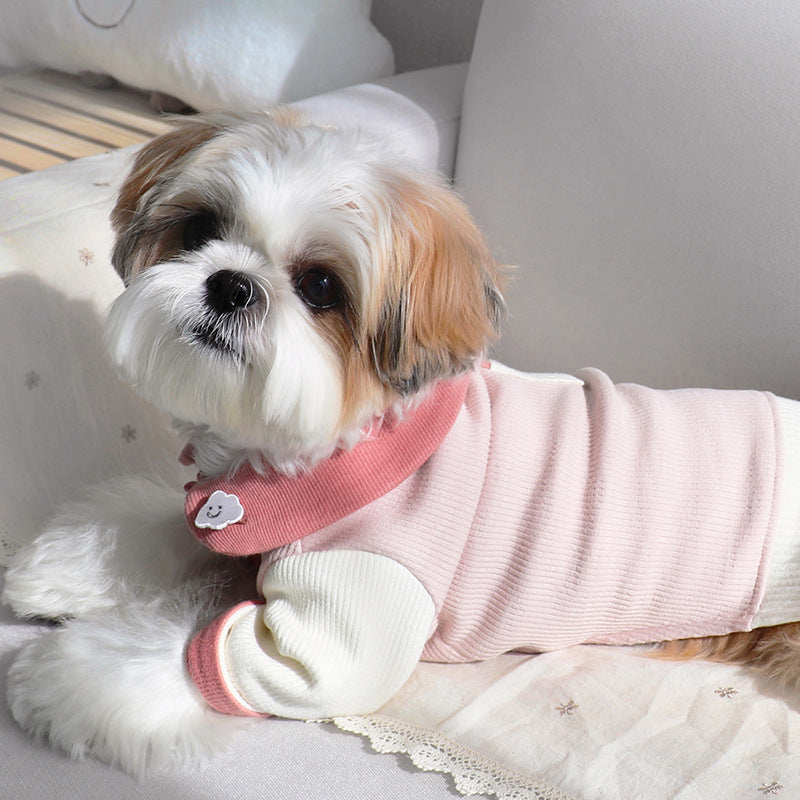 Ribbed Knit Puppy Sweater – Soft Button-Up Dog Outfit (Blue & Pink) | J + C Pet Co