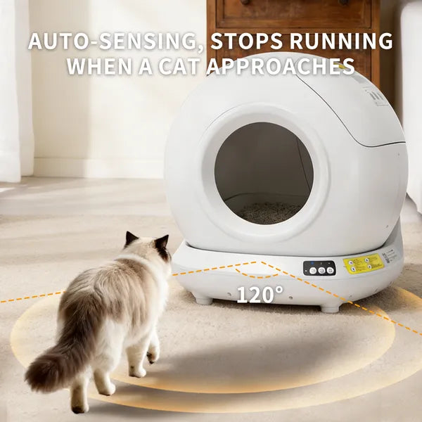 Smart Self-Cleaning Cat Litter Box – 78L Automatic Enclosed System with App Control | J + C Pet Co.